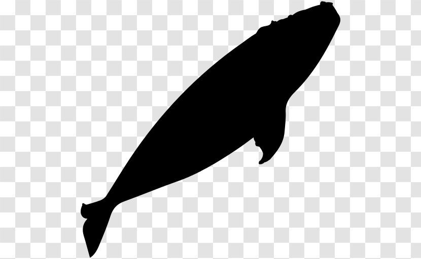 Whales Clip Art - Fin - Whale Free Download Transparent PNG