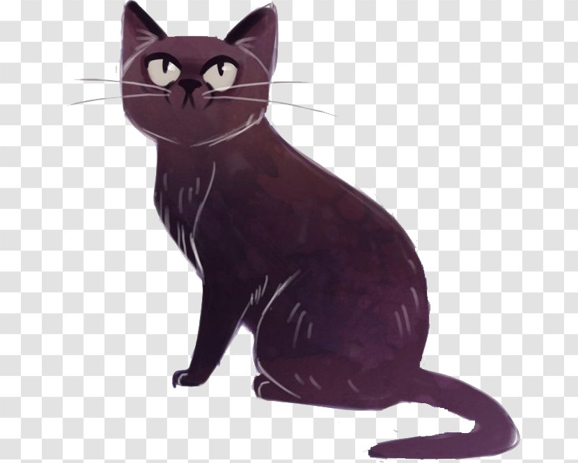 Black Cat Korat Bombay Domestic Short-haired Munchkin - Vertebrate - Kitten Transparent PNG