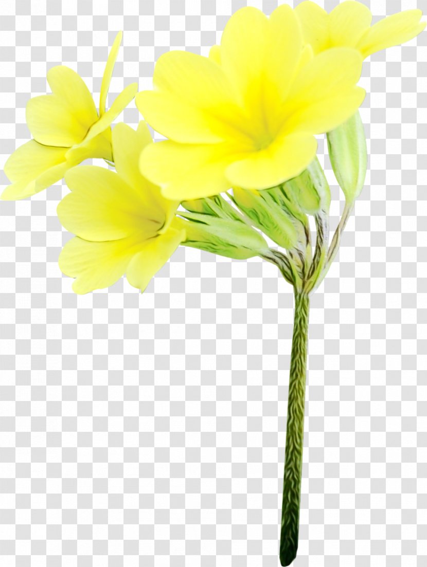 Artificial Flower - Wet Ink - Narcissus Pedicel Transparent PNG
