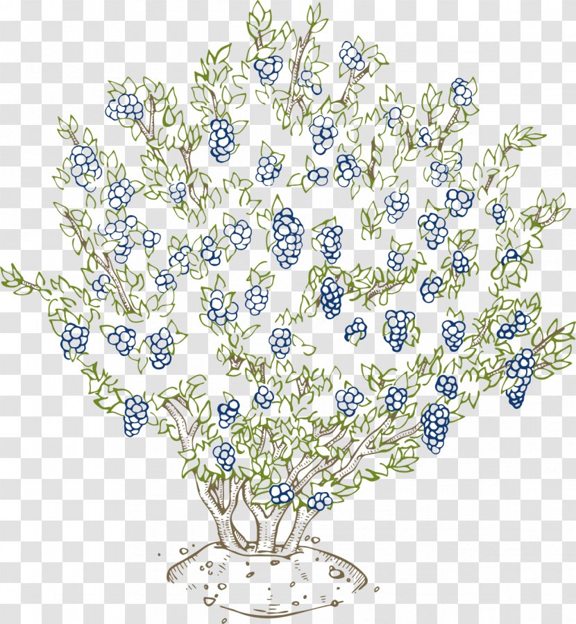 Blueberry Plant Vaccinium Corymbosum Shrub Bilberry - Pruning Transparent PNG