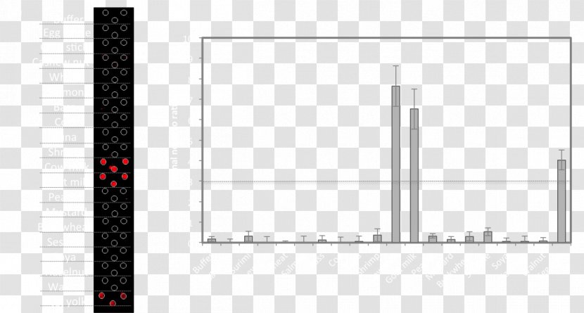 Brand Line Angle Pattern - Diagram Transparent PNG