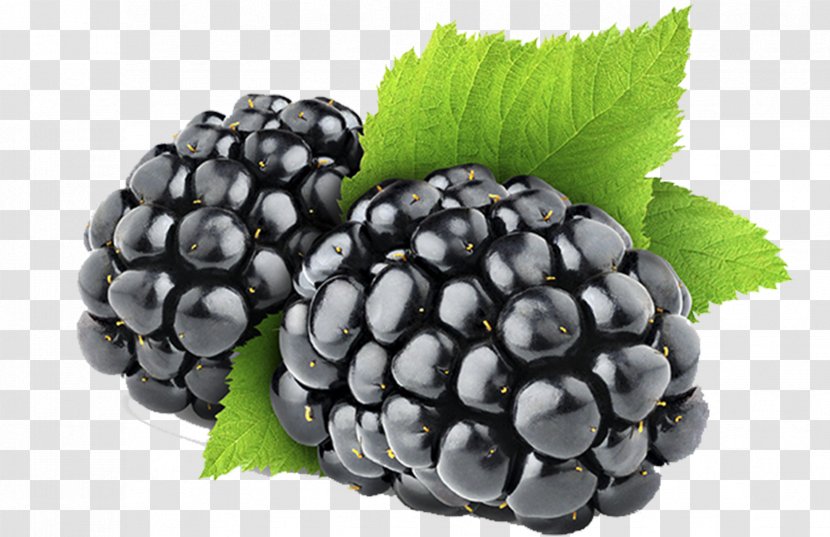 Organic Food Blackberry Berries Fruit Kissel - Drying Transparent PNG
