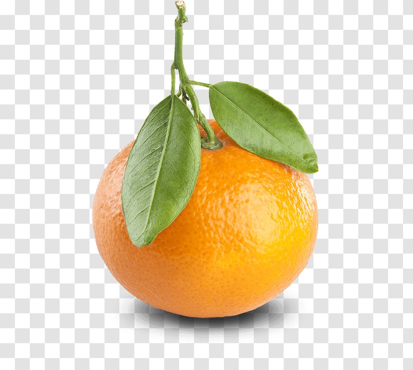 Mandarin Orange Tangerine Clementine Grapefruit Transparent PNG