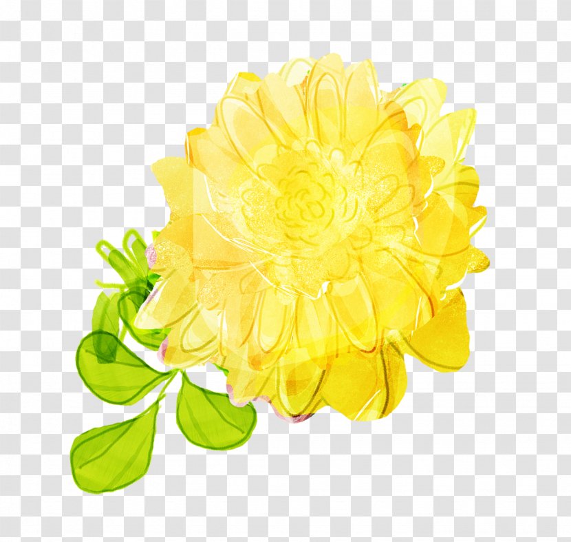 Flower Chrysanthemum Plant - Arranging Transparent PNG