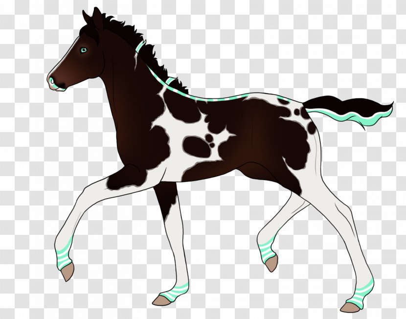 Foal Mustang Stallion Colt Mare - Animal Figure Transparent PNG