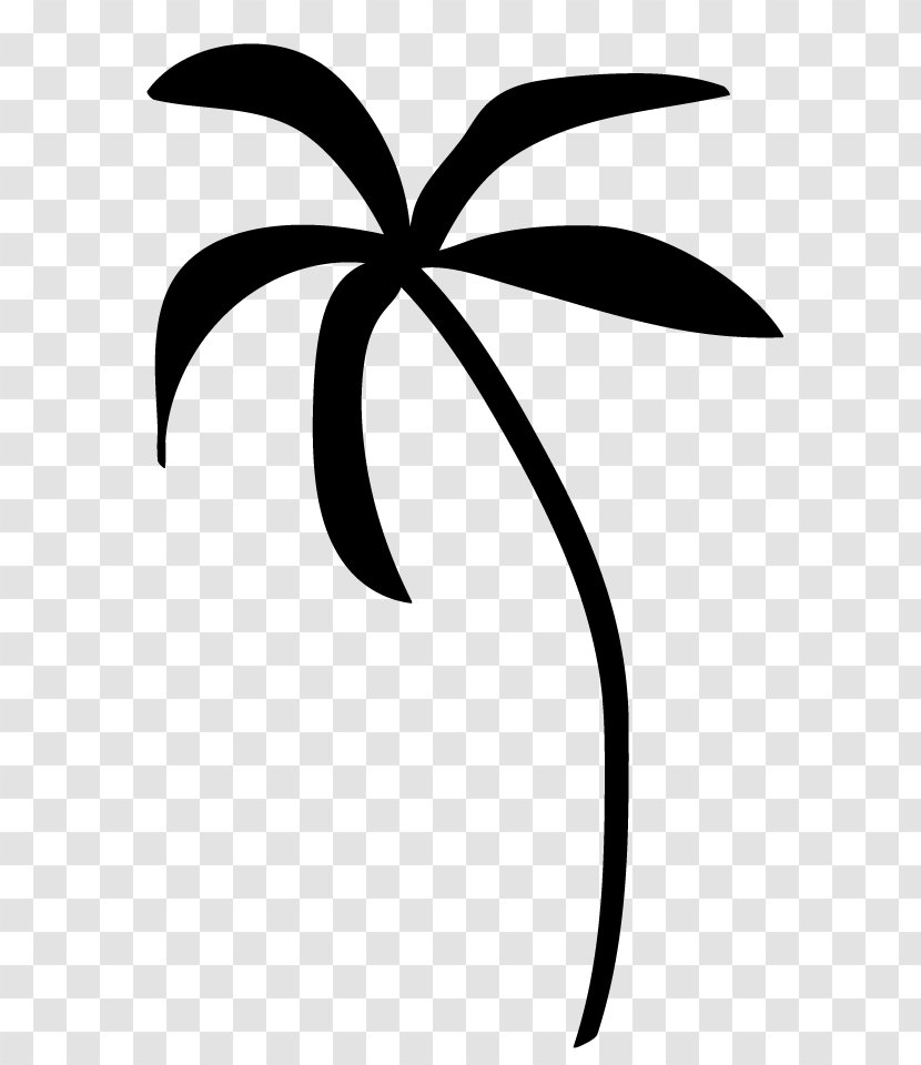 Arecaceae Tree Clip Art - Pine - Black And White Transparent PNG