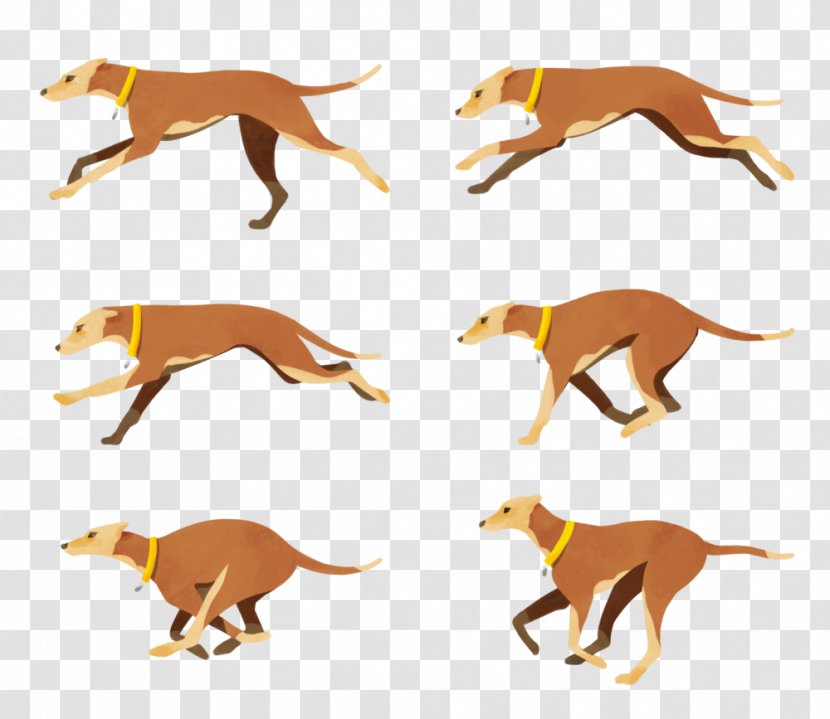 Italian Greyhound Dog Breed Crossbreed Clip Art - Organism - Spector Transparent PNG