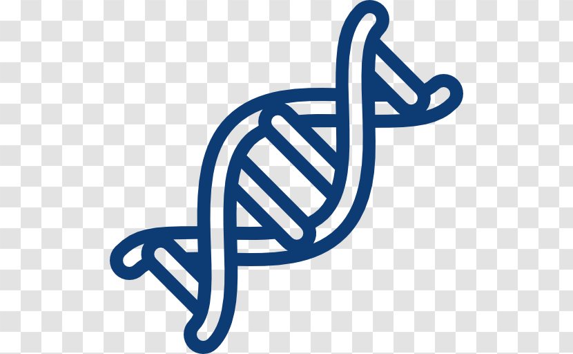 DNA Chromosome Structure Science - Mutation - Double Helix Transparent PNG