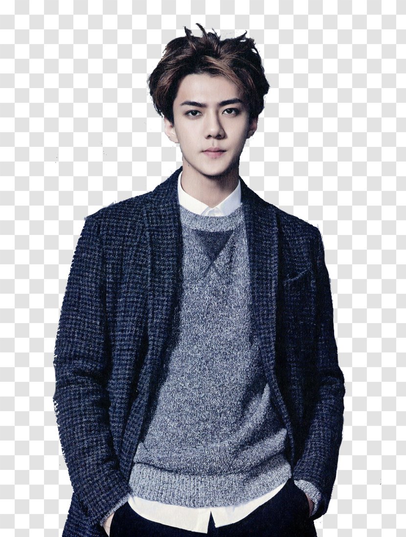 Sehun Dear Archimedes EXO LOVE ME RIGHT K-pop - Sleeve - Lays Transparent PNG