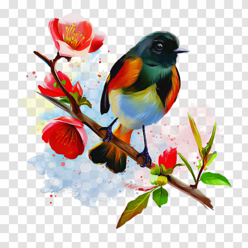 Bird Watercolor Paint Branch Songbird Plant Transparent PNG