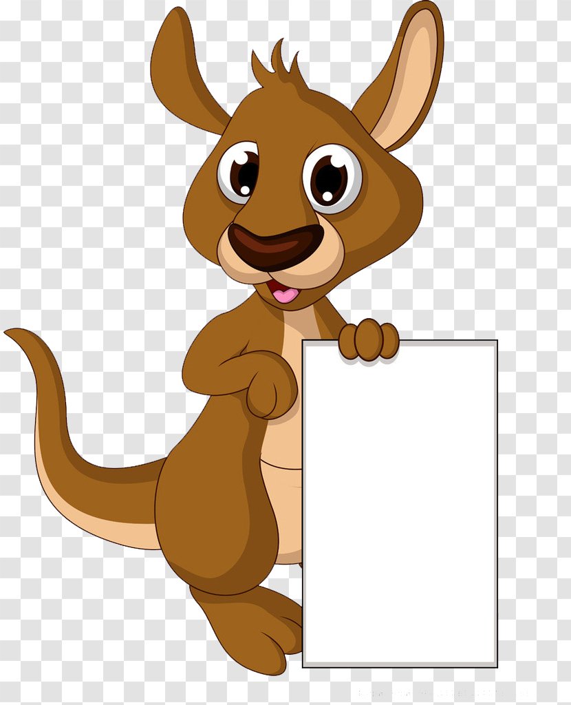 Cartoon Drawing Kangaroo Illustration - Cat Like Mammal - Bottom Box Transparent PNG