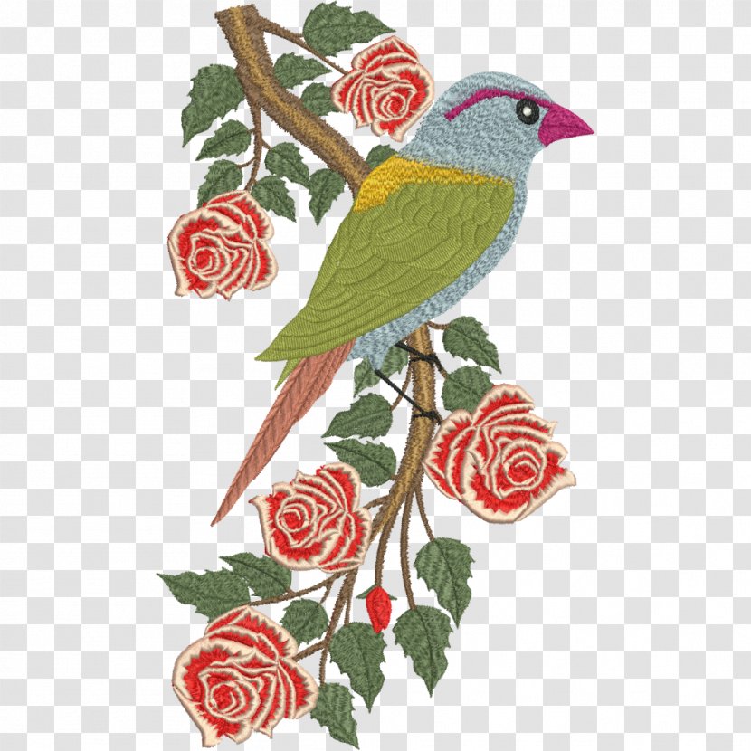 Bird Finches Diamond Firetail Garden Roses Beautiful - Rose Order Transparent PNG