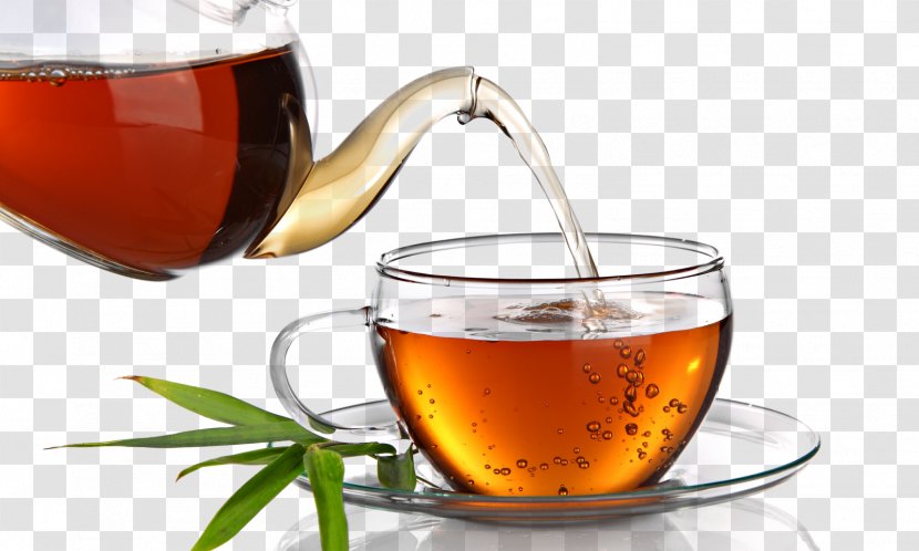 Green Tea Darjeeling Herbal Infusion - Earl Grey Transparent PNG