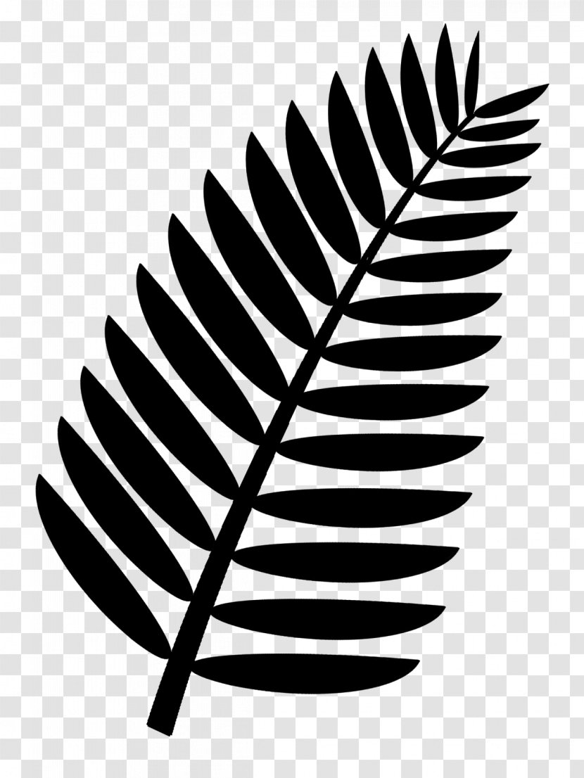 Palm Branch Arecaceae Frond Clip Art - Blog - Leaf Transparent PNG