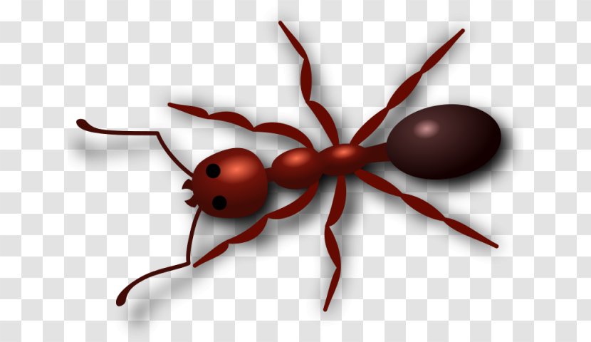 Spider Cartoon - Carpenter Ant - Parasite Termite Transparent PNG