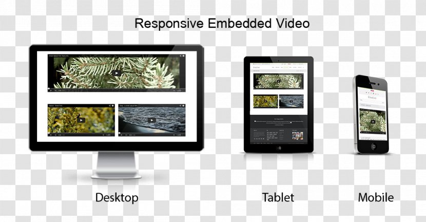 Responsive Web Design DotNetNuke Display Advertising Multimedia - Creative Slate Transparent PNG