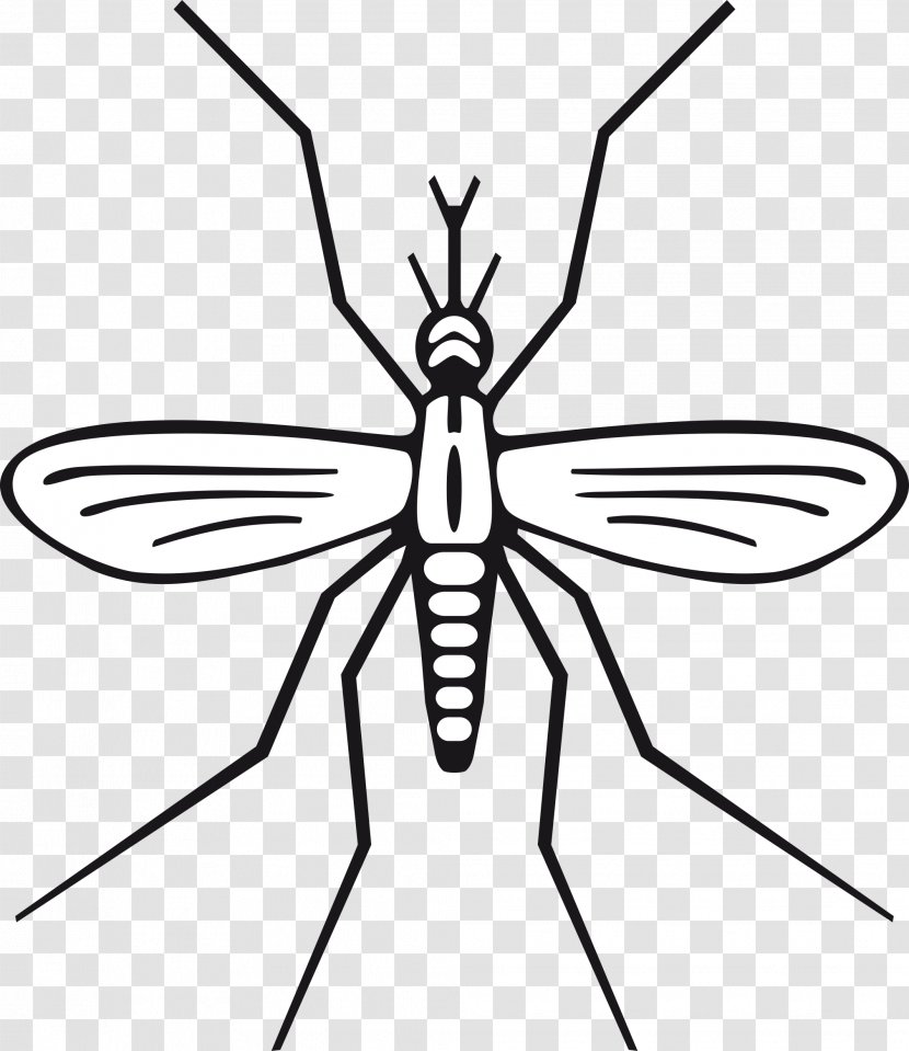 Mosquito Insect Black And White Clip Art - Brush Footed Butterfly Transparent PNG