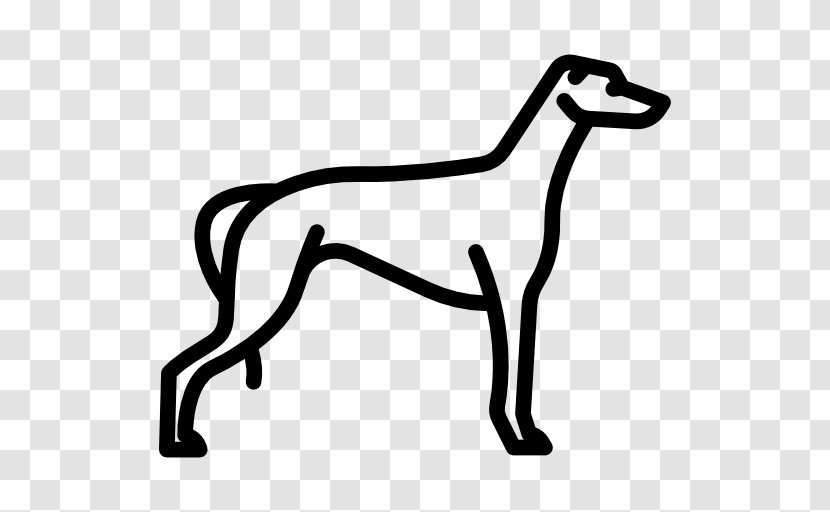 Italian Greyhound - Animal - Black Transparent PNG