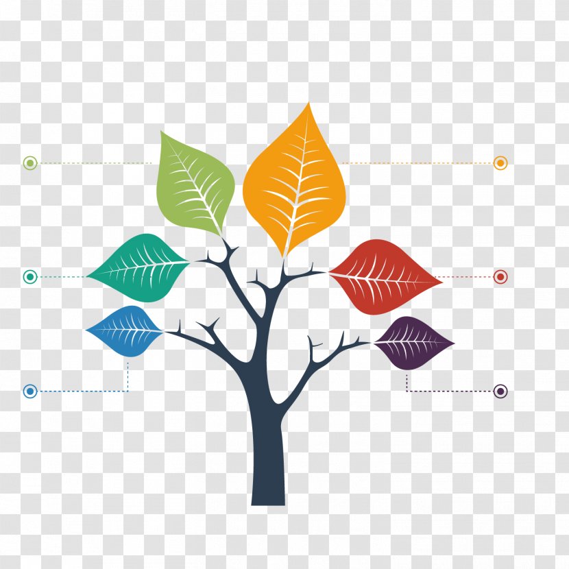 Tree Structure Chart Graph - Color Maple Leaf Branch Transparent PNG