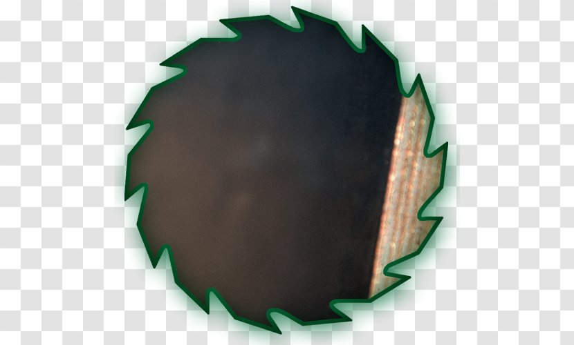 Circle Leaf Transparent PNG