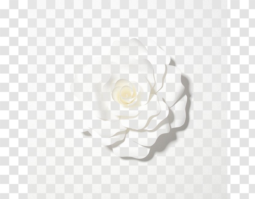 Tmall Flower Designer - White Transparent PNG