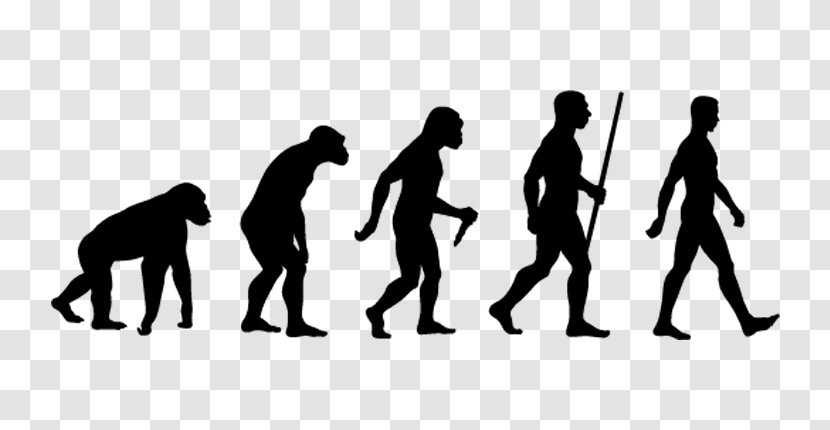 Human Evolution Ape Neanderthal - Animation Standing Transparent PNG