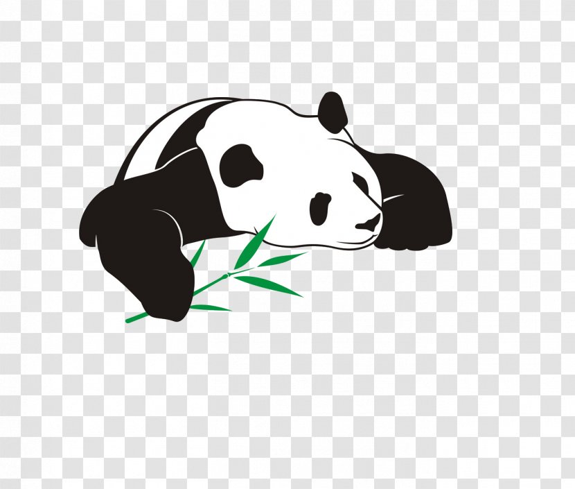 Giant Panda Bear Illustration - Dog Like Mammal - Eating Bamboo Transparent PNG