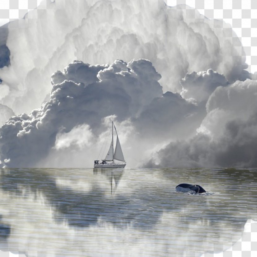 Photography Widescreen Wallpaper - Frame - Sailing Baiyun Transparent PNG