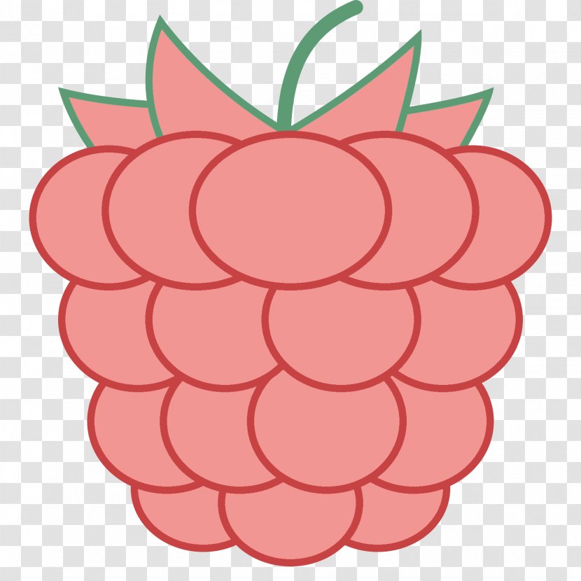 Raspberry Information Technology Consulting Clip Art - Flowering Plant - Raspberries Transparent PNG