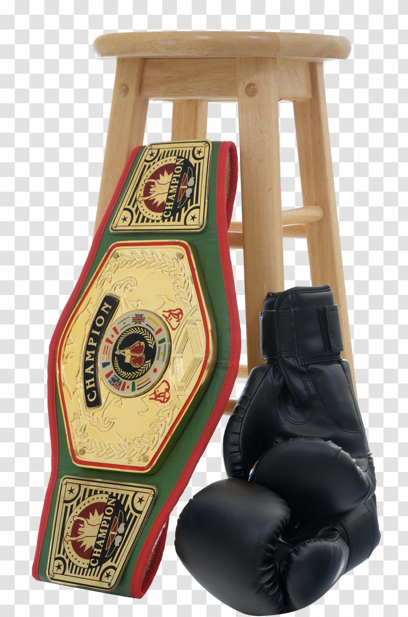 Boxing Glove Martial Arts Championship Belt Kickboxing - Ring - Champion Transparent PNG