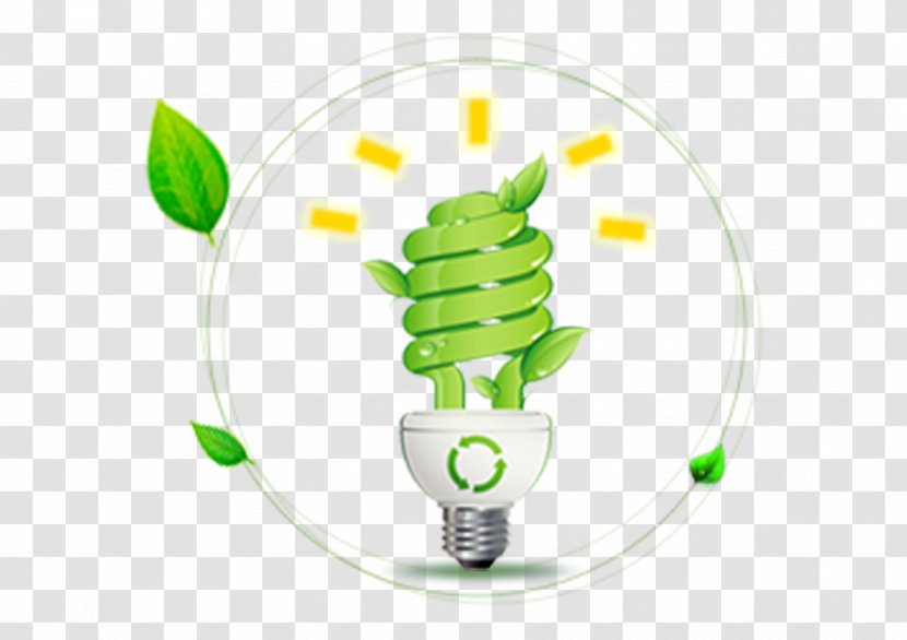 Incandescent Light Bulb Electricity Energy Conservation - Matter - Green Transparent PNG