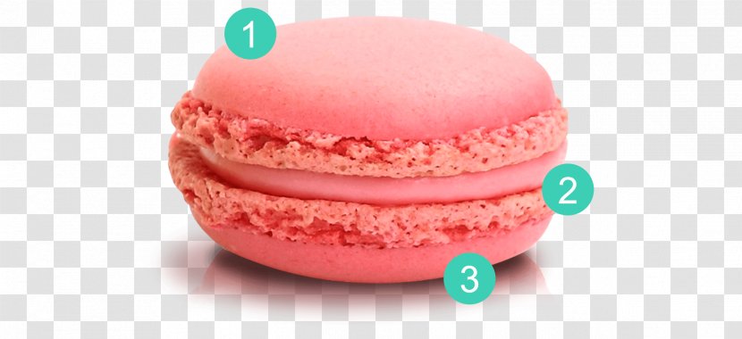 Macaron Macaroon Torte Cake Chocolate - Biscuits - Macarons Transparent PNG