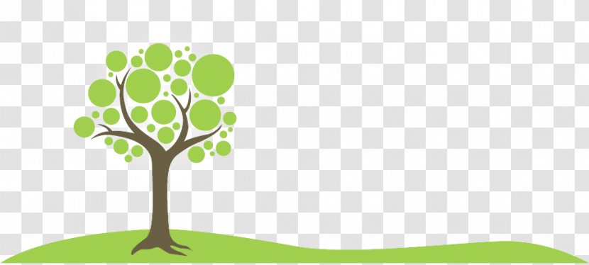 Trees Trail Challenge Page Header Branch - Tree - Footer Clipart Transparent PNG