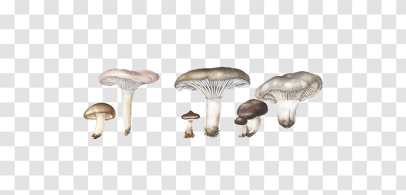 Mushroom Hot Pot Umbrella Fungus - Food - Hand-painted Cartoon Mushrooms Transparent PNG