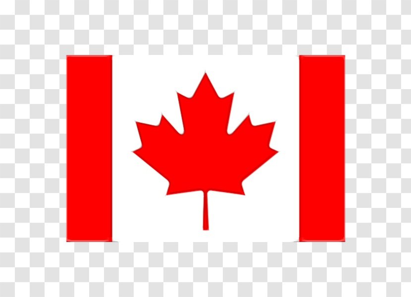 Canada Maple Leaf - Symbol Carmine Transparent PNG