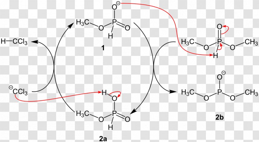 Atherton–Todd Reaction Name Chemical Organic Chemistry - Cartoon - Atherton Transparent PNG