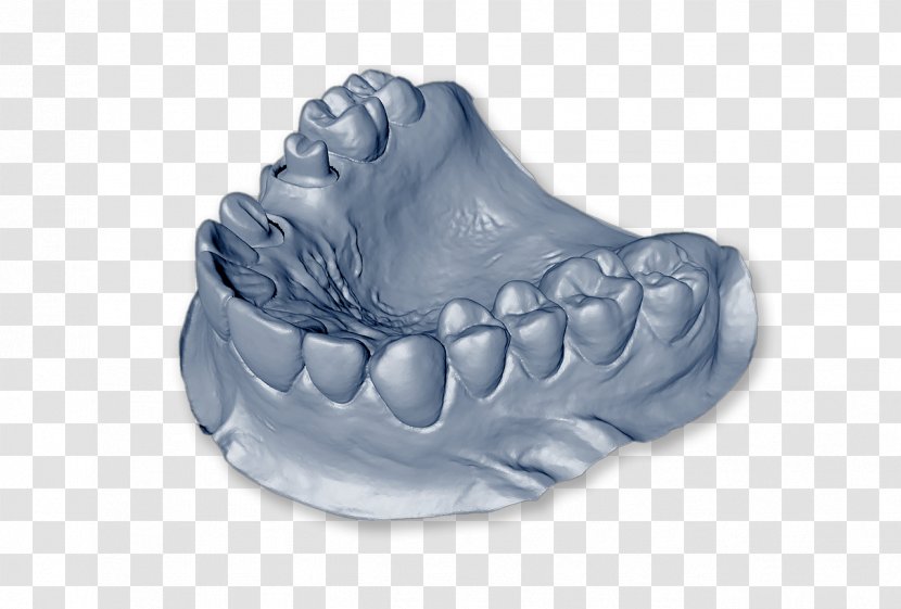 Dentistry Tooth Dental Laboratory Dentures Technician - Maxilla - Model Transparent PNG