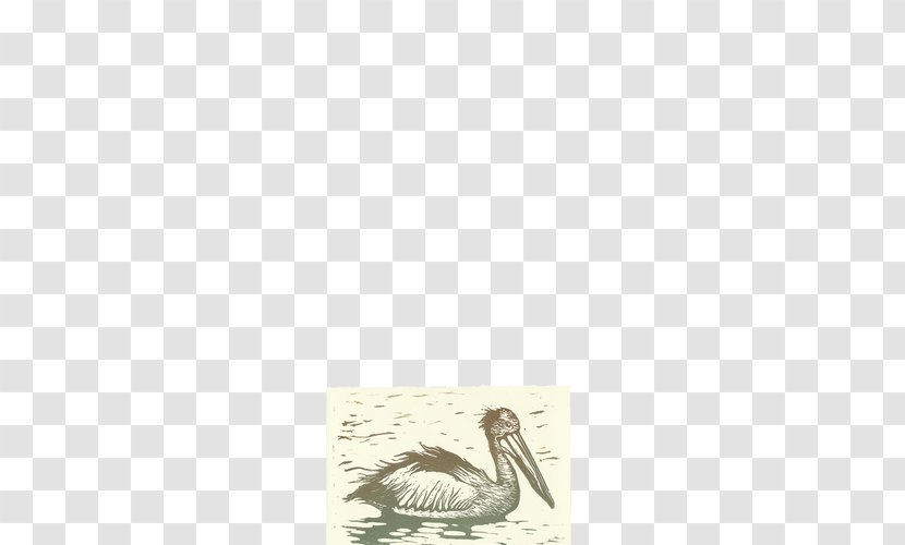 Goose Water Bird Cygnini Anatidae - Watercolor Pelican Transparent PNG