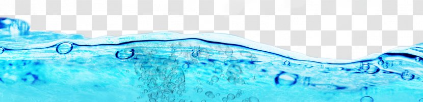 Blue Water Resources Seawater - Organism Transparent PNG