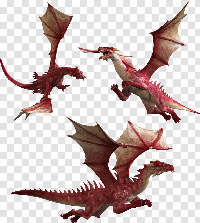 Dragon Information Clip Art Transparent PNG