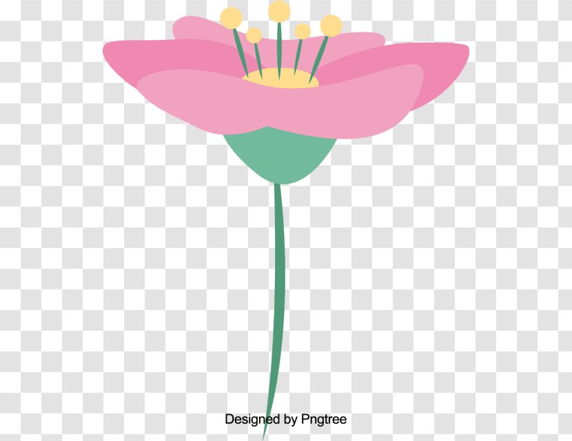 Lily Flower Cartoon - Color - Sacred Lotus Plant Stem Transparent PNG