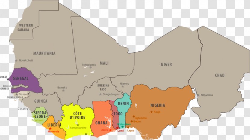 Map Ecoregion Tuberculosis Transparent PNG