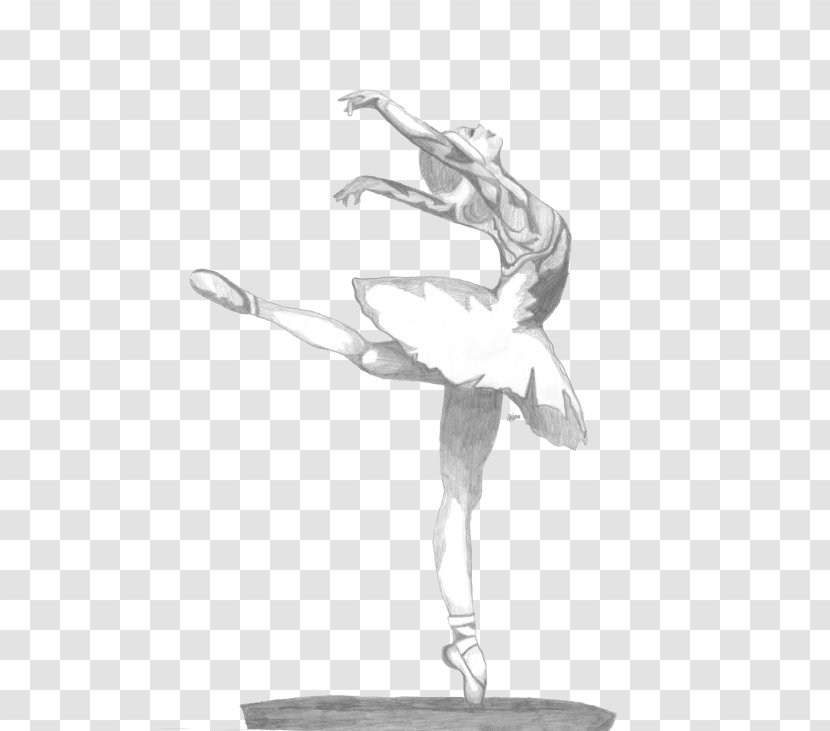 Ballet Tutu Sketch - Cartoon Transparent PNG