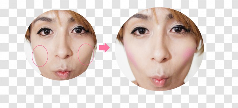 Snout Cheek Chin Jaw Mouth - Eye Transparent PNG