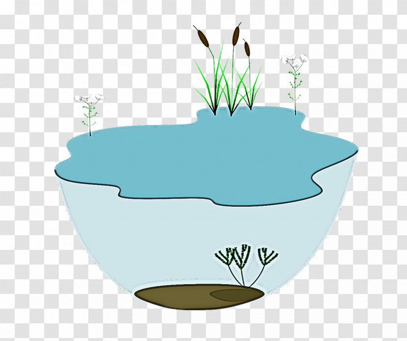 Water Grass Flowerpot Plant Rock Transparent PNG