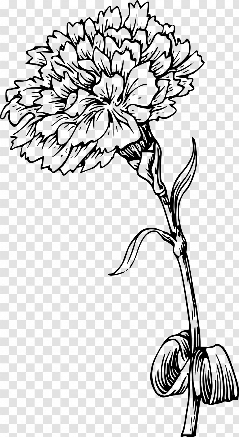 Carnation Flower Tattoo Clip Art - Gladiolus Transparent PNG