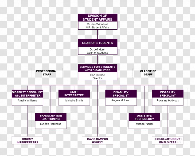 Organizational Chart Structure Diagram - Organization Transparent PNG