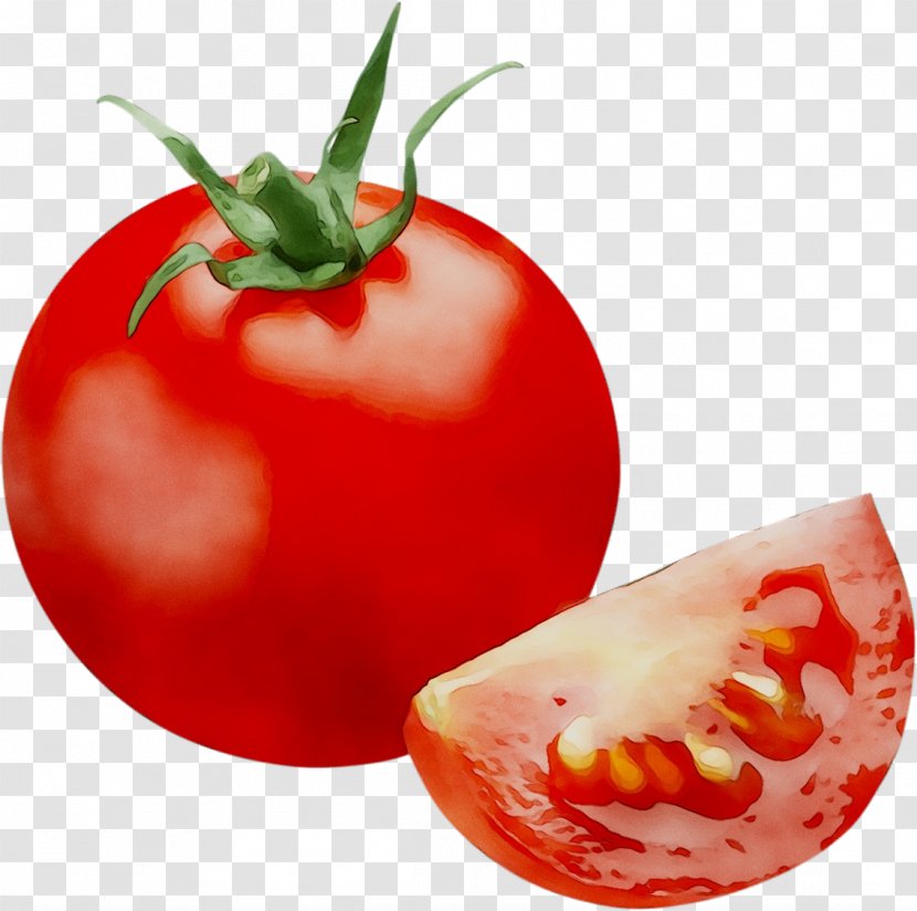 Plum Tomato Superfood Bush - Diet Food Transparent PNG