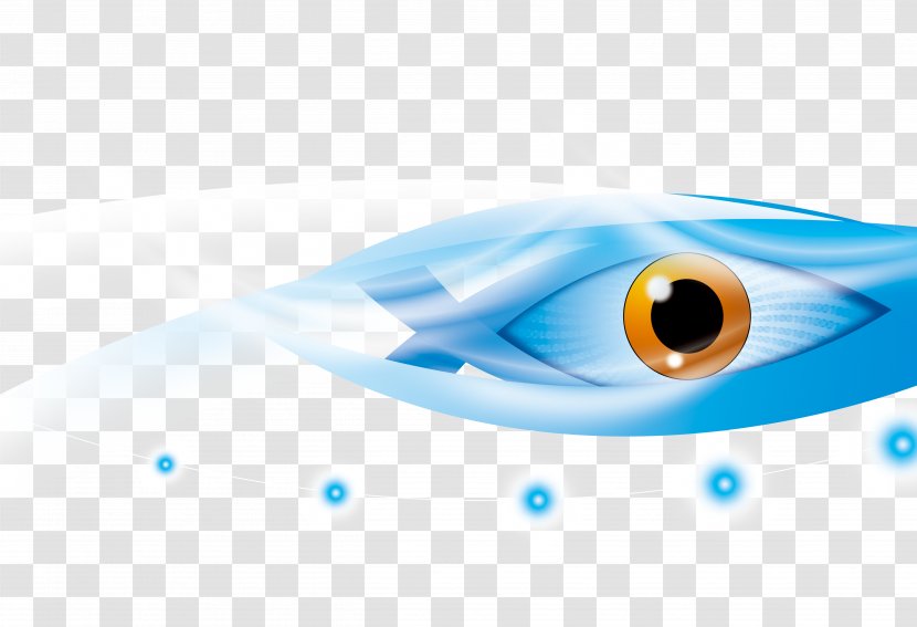 Eye Download Transparent PNG