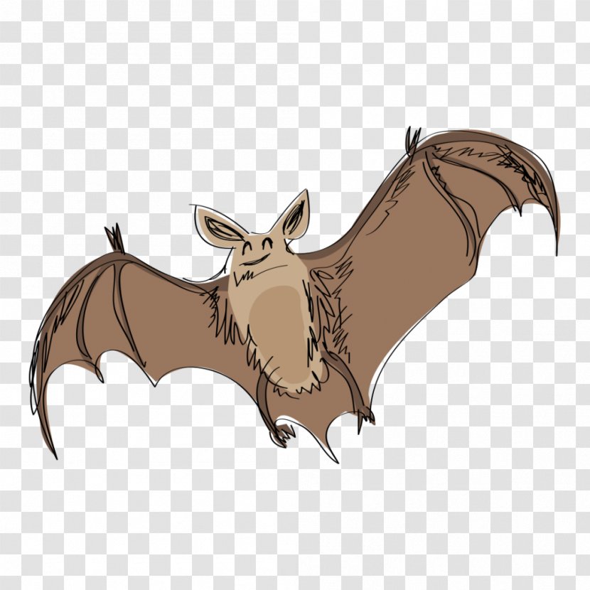 Bat Drawing Cartoon - Mammal - Hand Painted Transparent PNG